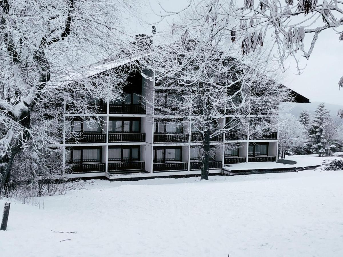 Winterwohnung Almberg Mitterfirmiansreut Bagian luar foto