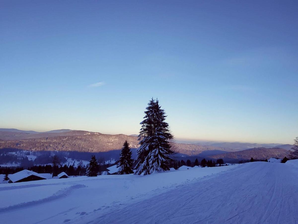 Winterwohnung Almberg Mitterfirmiansreut Bagian luar foto