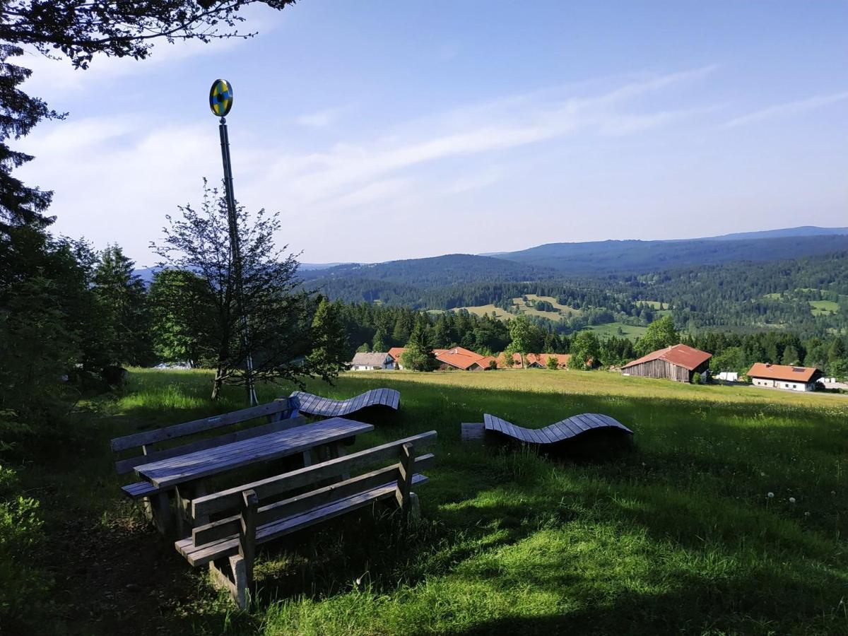 Winterwohnung Almberg Mitterfirmiansreut Bagian luar foto