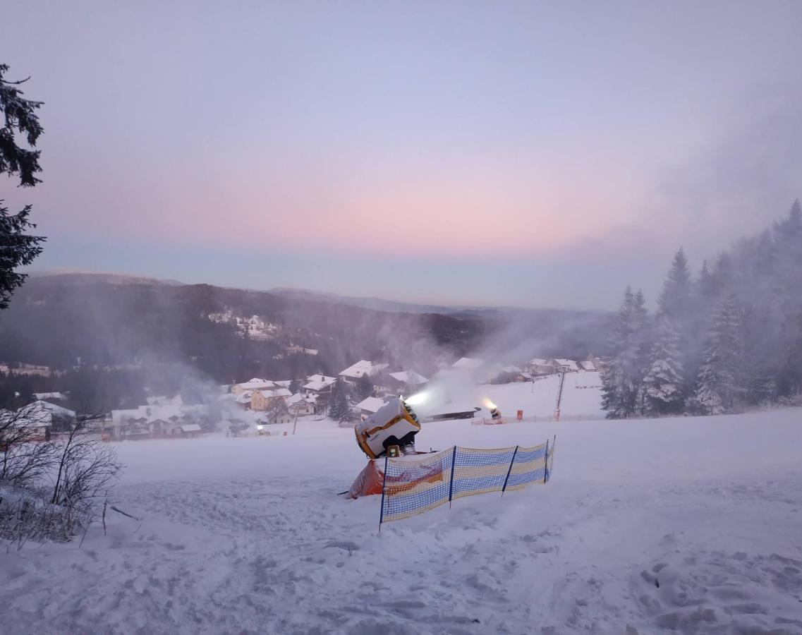 Winterwohnung Almberg Mitterfirmiansreut Bagian luar foto
