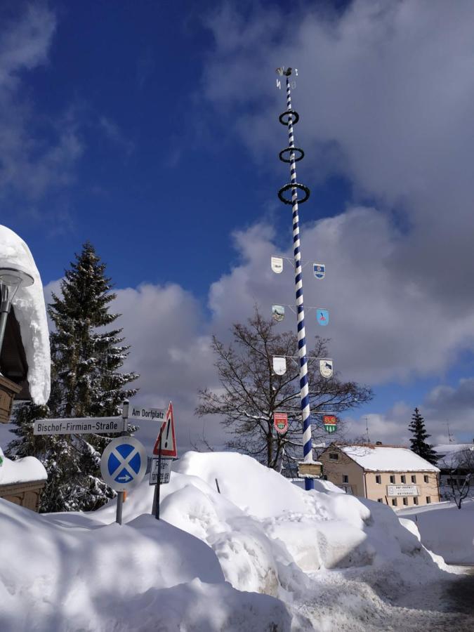 Winterwohnung Almberg Mitterfirmiansreut Bagian luar foto
