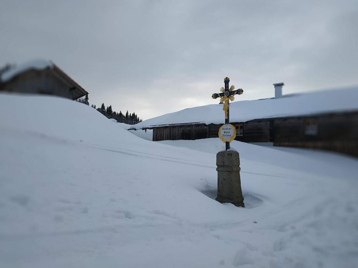 Winterwohnung Almberg Mitterfirmiansreut Bagian luar foto