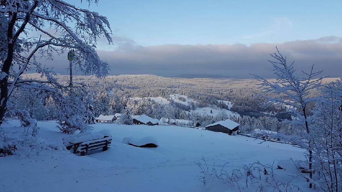 Winterwohnung Almberg Mitterfirmiansreut Bagian luar foto